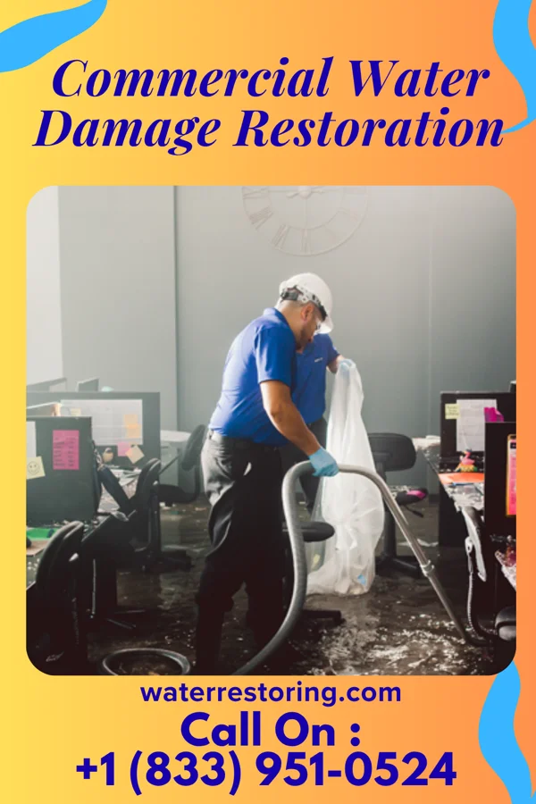 Commercial Water Damage Restoration in Mineralwells, WV