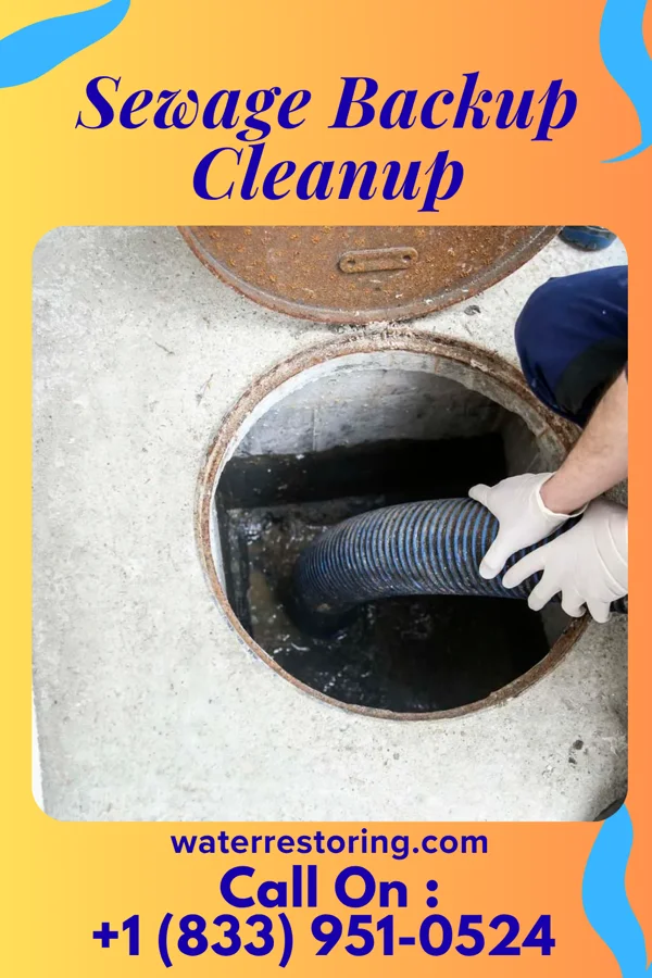 Sewage Backup Cleanup in Mineralwells, WV