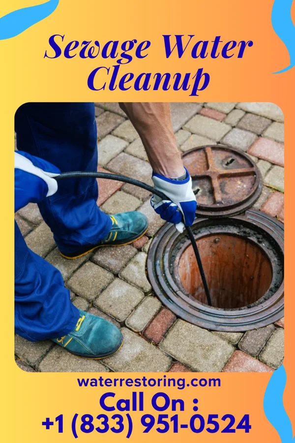 Sewage Water Cleanup in Mineralwells, WV